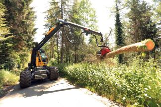 Vollernter Einsatz, z.B. bei Sicherheitsholzerei entlang der Strasse