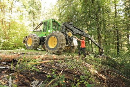 Skidder mit Seilwinde