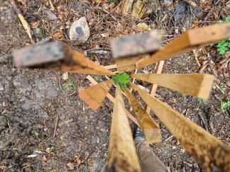 Einzelschutz aus Schweizer Holz